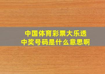 中国体育彩票大乐透中奖号码是什么意思啊