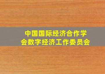 中国国际经济合作学会数字经济工作委员会