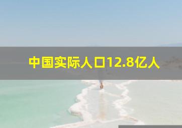 中国实际人口12.8亿人