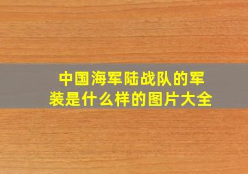 中国海军陆战队的军装是什么样的图片大全