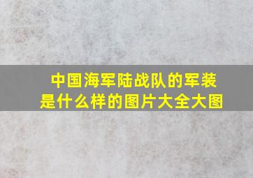 中国海军陆战队的军装是什么样的图片大全大图