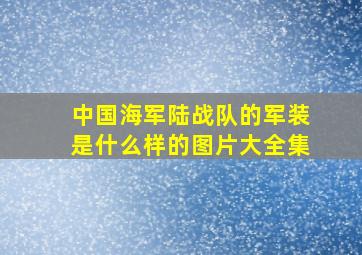 中国海军陆战队的军装是什么样的图片大全集