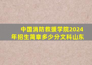 中国消防救援学院2024年招生简章多少分文科山东