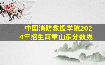 中国消防救援学院2024年招生简章山东分数线