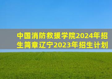 中国消防救援学院2024年招生简章辽宁2023年招生计划