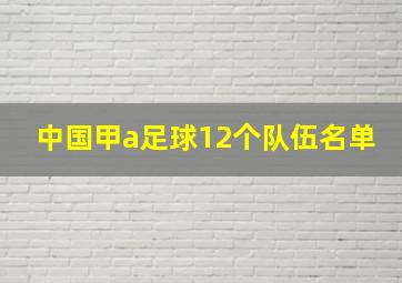 中国甲a足球12个队伍名单