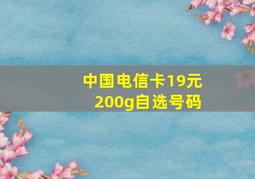 中国电信卡19元200g自选号码