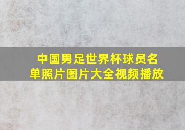 中国男足世界杯球员名单照片图片大全视频播放