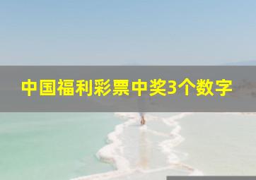 中国福利彩票中奖3个数字