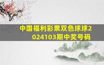 中国福利彩票双色球球2024103期中奖号码