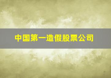 中国第一造假股票公司