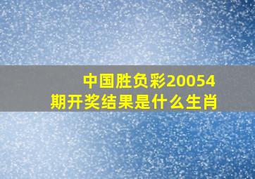 中国胜负彩20054期开奖结果是什么生肖