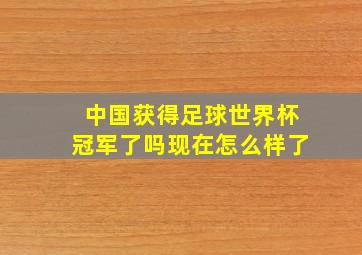 中国获得足球世界杯冠军了吗现在怎么样了