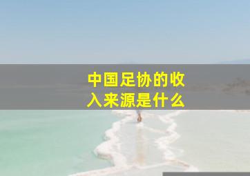 中国足协的收入来源是什么