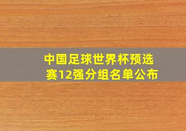 中国足球世界杯预选赛12强分组名单公布