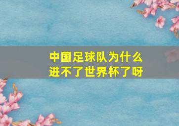 中国足球队为什么进不了世界杯了呀