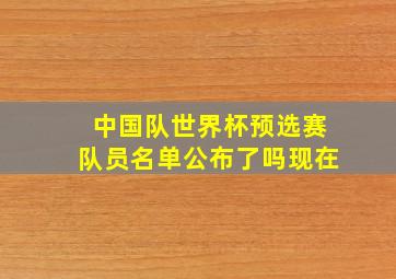 中国队世界杯预选赛队员名单公布了吗现在