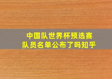 中国队世界杯预选赛队员名单公布了吗知乎