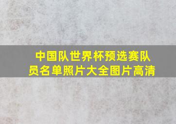 中国队世界杯预选赛队员名单照片大全图片高清