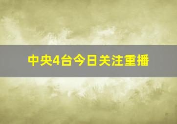 中央4台今日关注重播