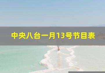 中央八台一月13号节目表