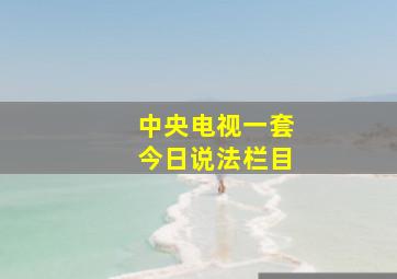 中央电视一套今日说法栏目