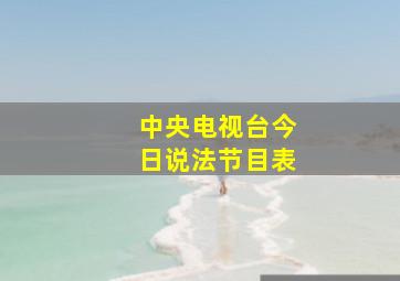 中央电视台今日说法节目表