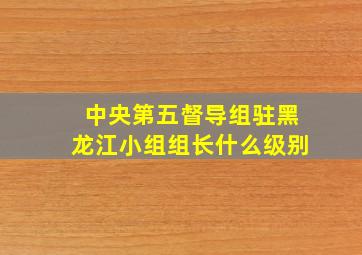 中央第五督导组驻黑龙江小组组长什么级别