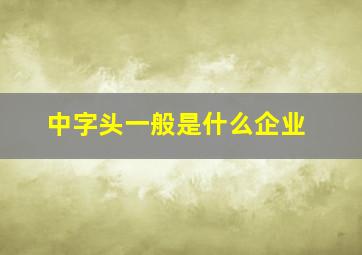 中字头一般是什么企业