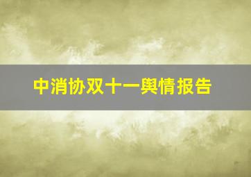 中消协双十一舆情报告