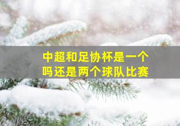 中超和足协杯是一个吗还是两个球队比赛