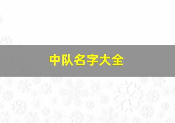 中队名字大全