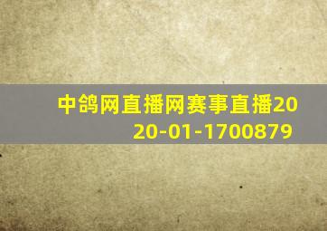 中鸽网直播网赛事直播2020-01-1700879