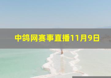 中鸽网赛事直播11月9日