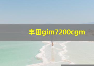 丰田gim7200cgm