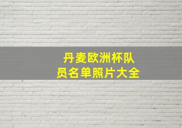 丹麦欧洲杯队员名单照片大全