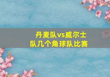 丹麦队vs威尔士队几个角球队比赛