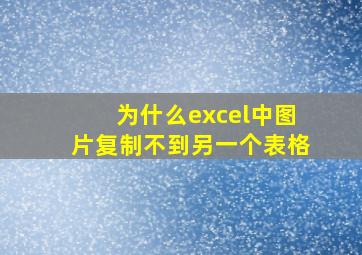 为什么excel中图片复制不到另一个表格