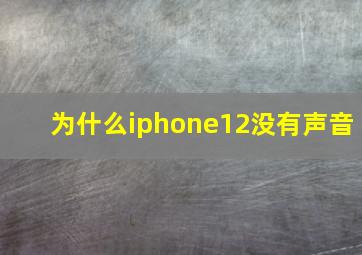 为什么iphone12没有声音