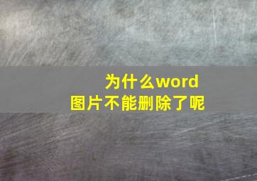 为什么word图片不能删除了呢