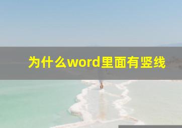 为什么word里面有竖线