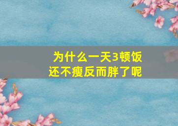 为什么一天3顿饭还不瘦反而胖了呢