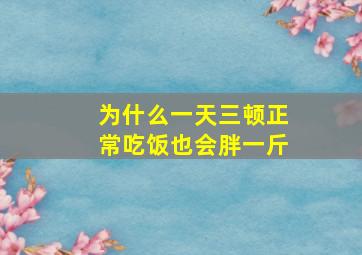 为什么一天三顿正常吃饭也会胖一斤