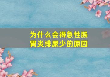 为什么会得急性肠胃炎排尿少的原因