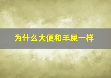 为什么大便和羊屎一样