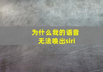 为什么我的语音无法唤出siri