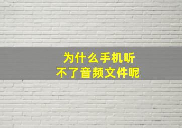 为什么手机听不了音频文件呢