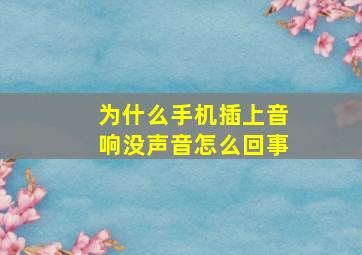 为什么手机插上音响没声音怎么回事