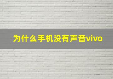 为什么手机没有声音vivo