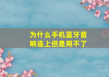 为什么手机蓝牙音响连上但是用不了